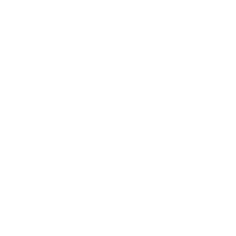 leistungs-icon-kampagne