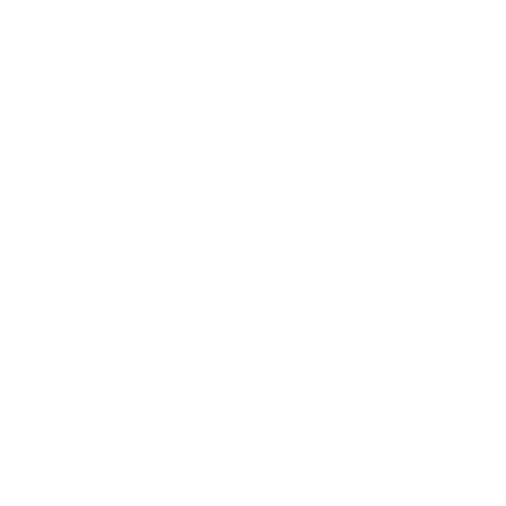 leistungs-icon-social-hybrid